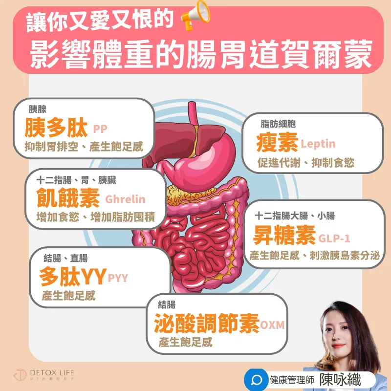 讓你又愛又恨的胃腸賀爾蒙